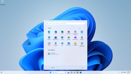 Windows 11 Desktop